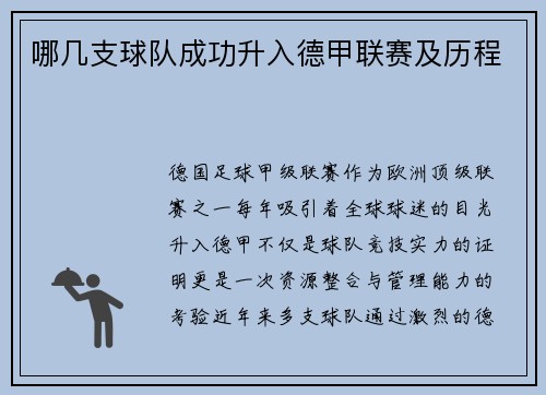 哪几支球队成功升入德甲联赛及历程