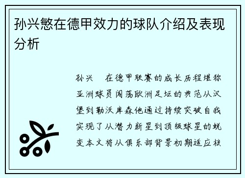 孙兴慜在德甲效力的球队介绍及表现分析